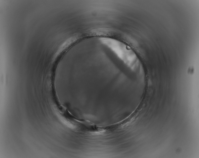 X0000091960250200709271352