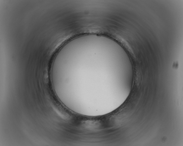 X0000091960251200709271352