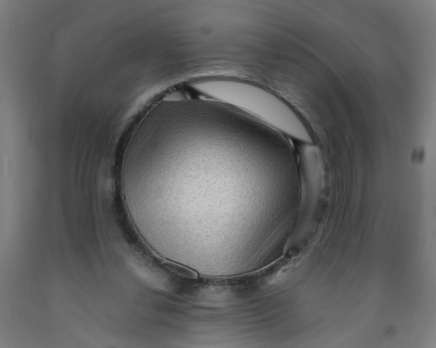 X0000091960252200709271352