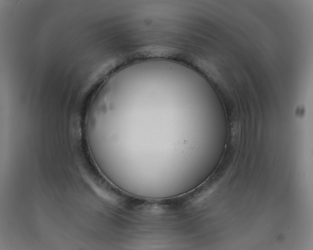 X0000091960254200709271352