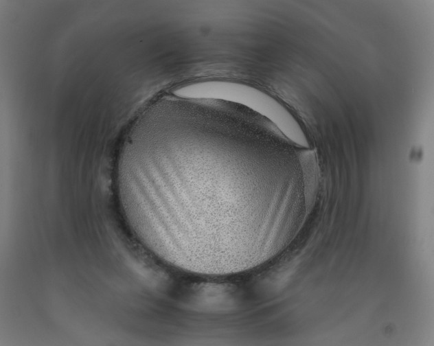 X0000091960255200709271352