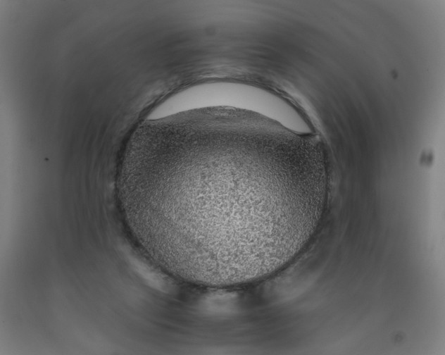 X0000091960257200709271352