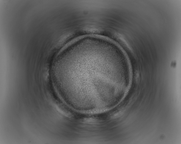 X0000091960259200709271352