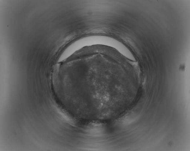 X0000091960260200709271352