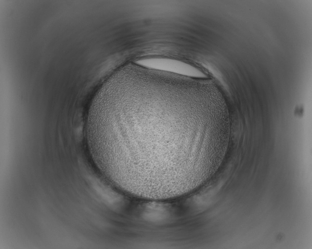 X0000091960261200709271352