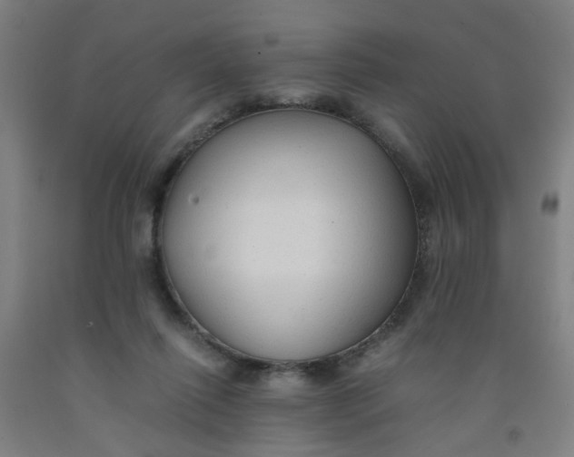 X0000091960262200709271352