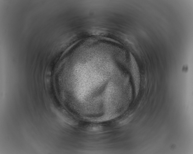 X0000091960263200709271352