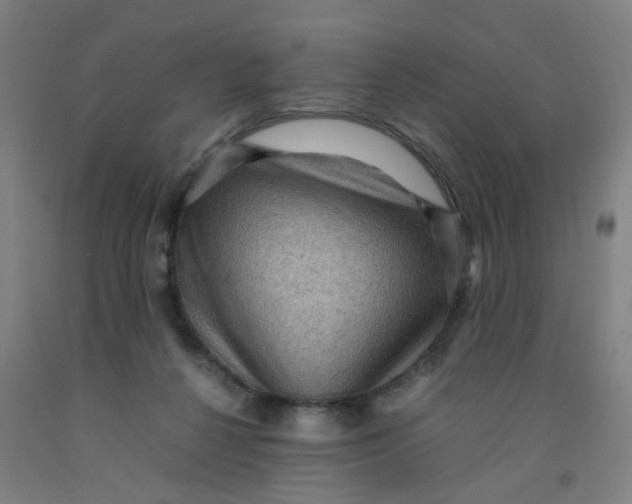 X0000091960264200709271352