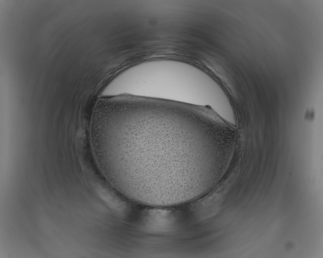 X0000091960265200709271352