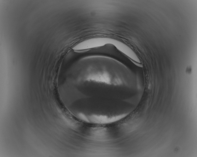 X0000091960266200709271352