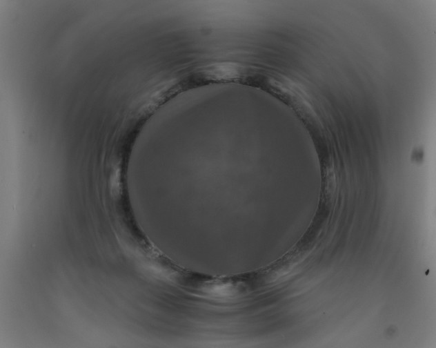 X0000091960267200709271352