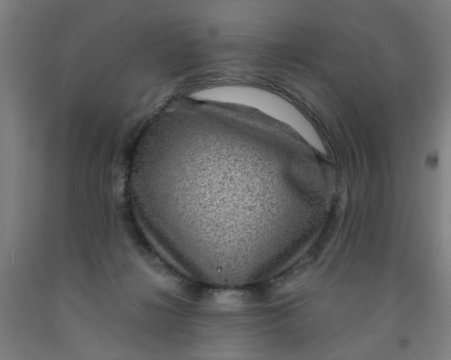 X0000091960268200709271352