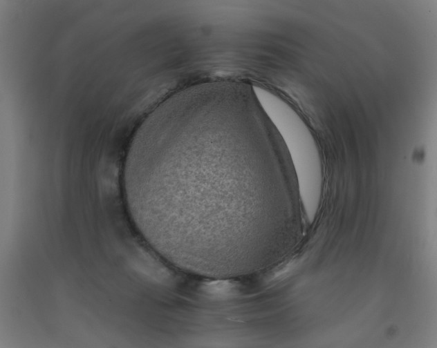 X0000091960269200709271352