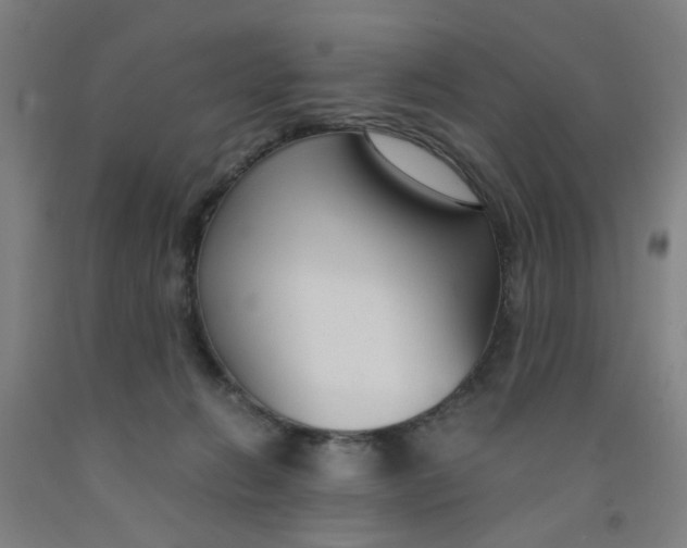 X0000091960270200709271352