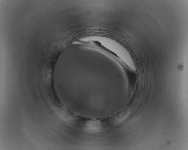 X0000091960271200709271352