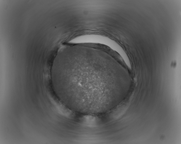 X0000091960272200709271352