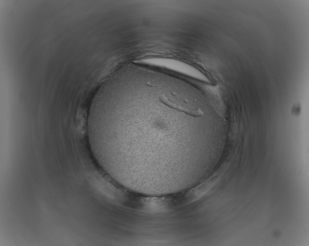 X0000091960273200709271352