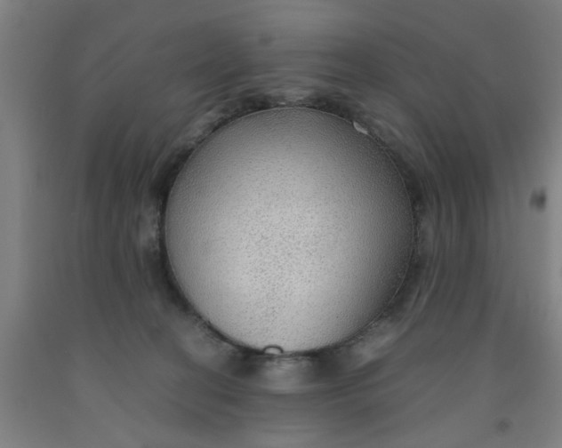 X0000091960274200709271352