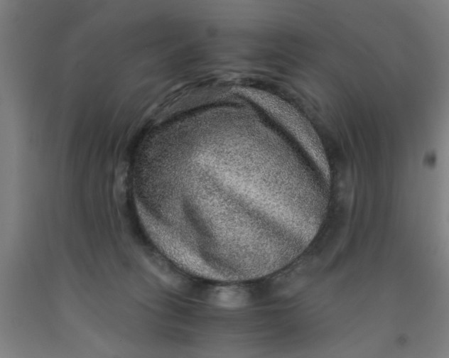 X0000091960275200709271352