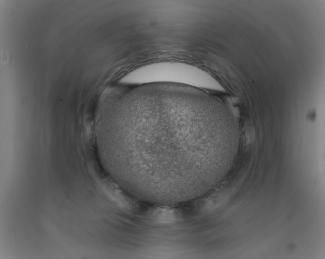 X0000091960276200709271352