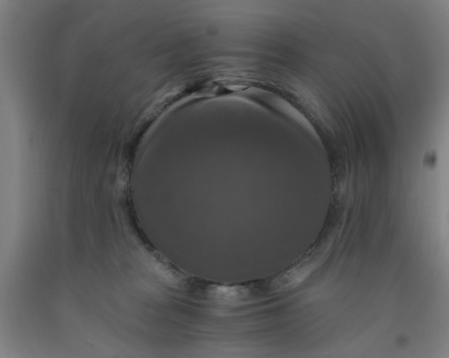 X0000091960277200709271352