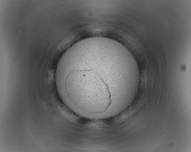 X0000091960278200709271352