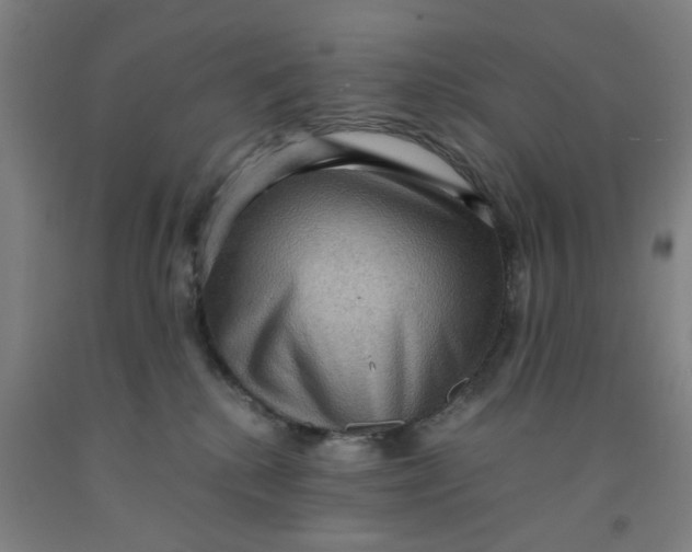 X0000091960280200709271352