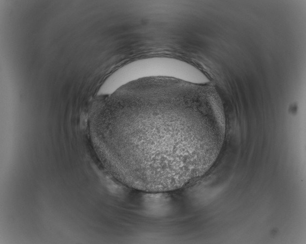 X0000091960281200709271353