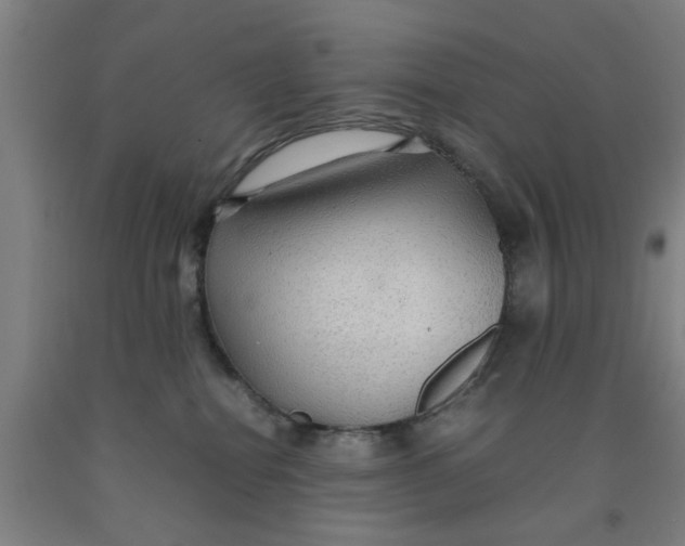 X0000091960282200709271353