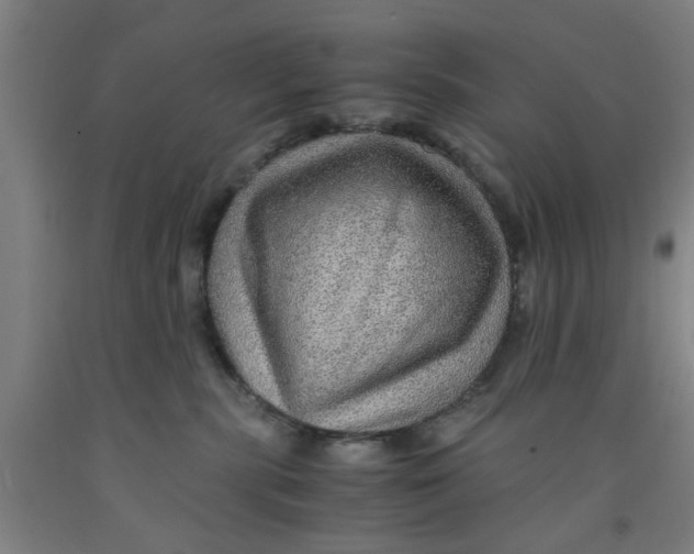 X0000091960283200709271353