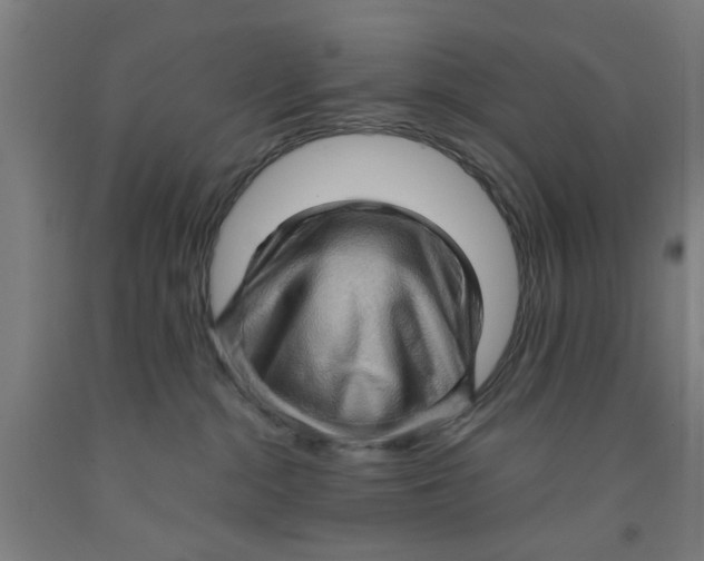 X0000091960284200709271353