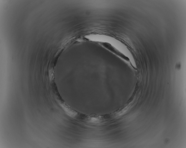 X0000091960285200709271353