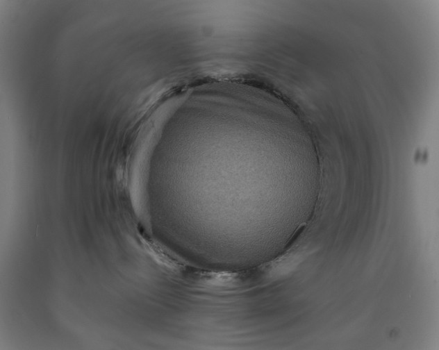 X0000091960288200709271353