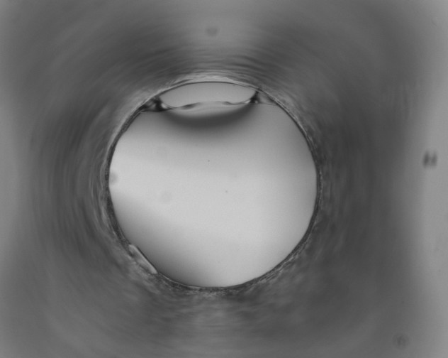 X0000091960289200709271352