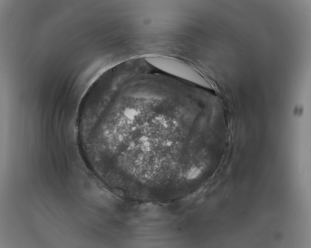 X0000091960290200709271352