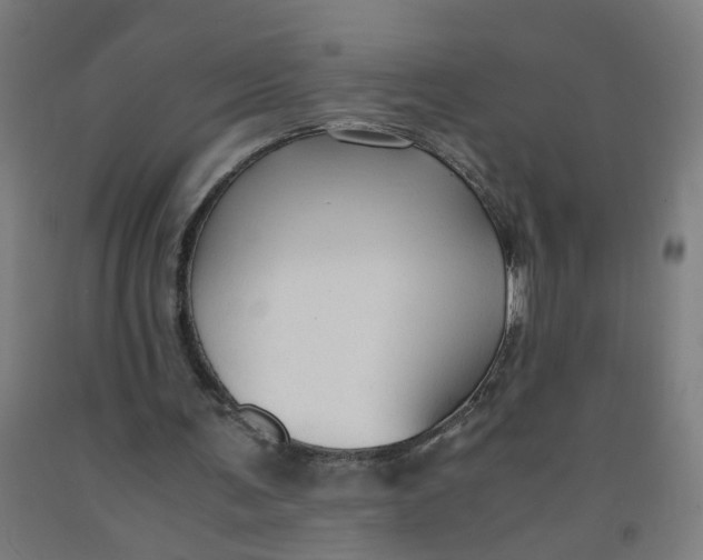 X0000091960291200709271352