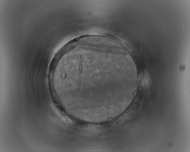 X0000091960292200709271352