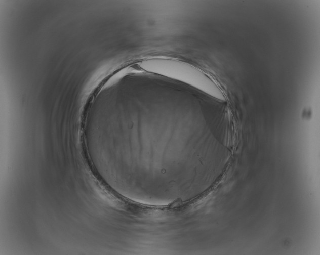 X0000091960293200709271352