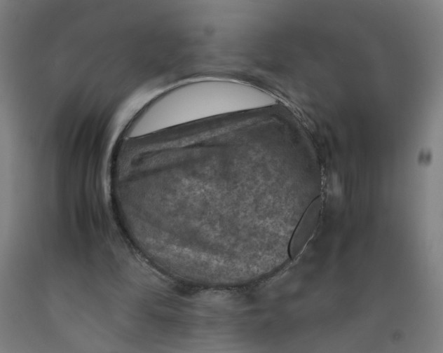 X0000091960294200709271352