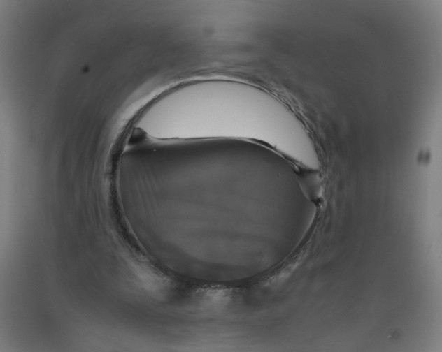 X0000091960295200709271352