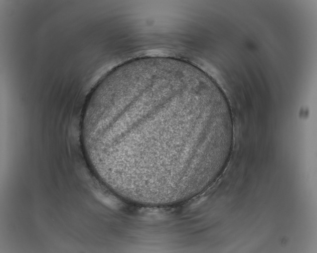 X0000091960297200709271352