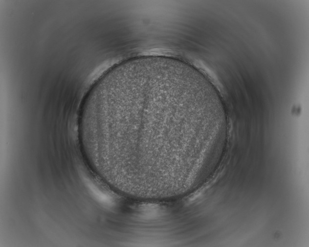 X0000091960298200709271352