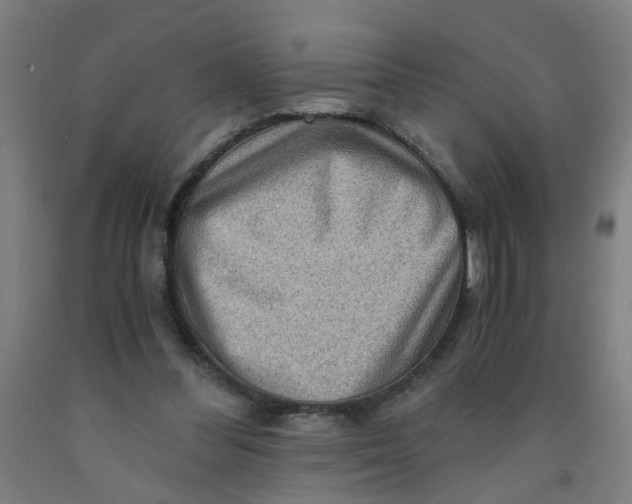 X0000091960300200709271352