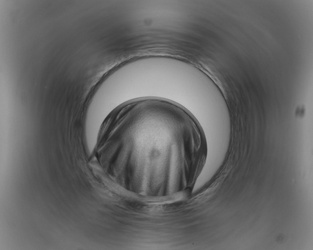 X0000091960301200709271352