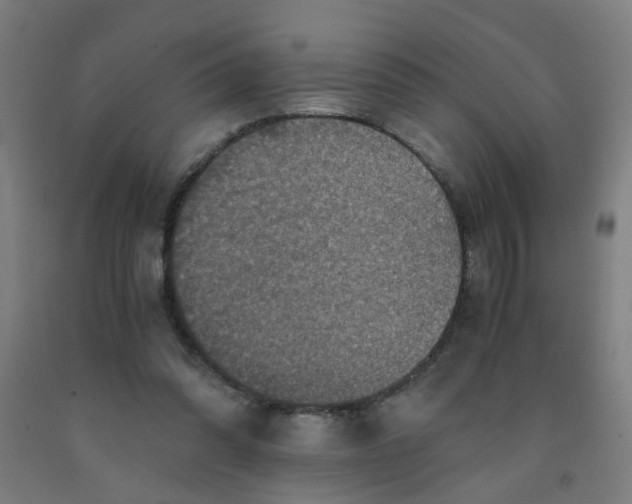 X0000091960302200709271352