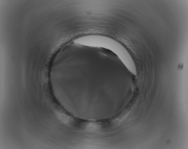 X0000091960303200709271352