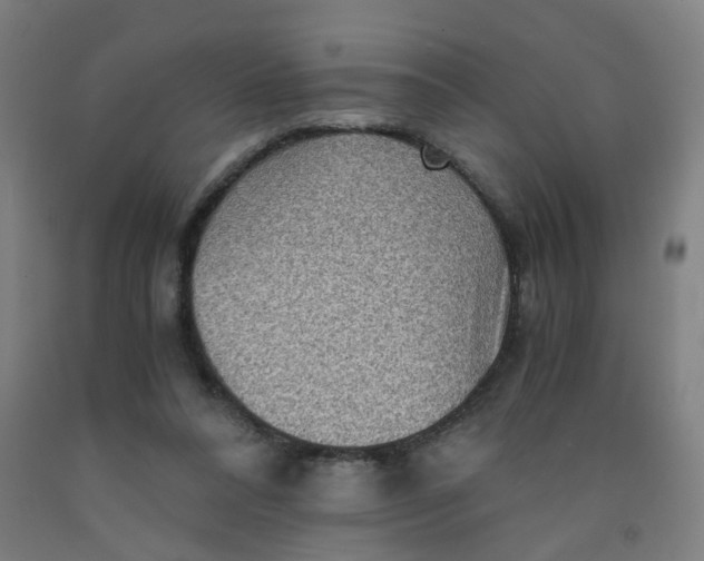 X0000091960304200709271352