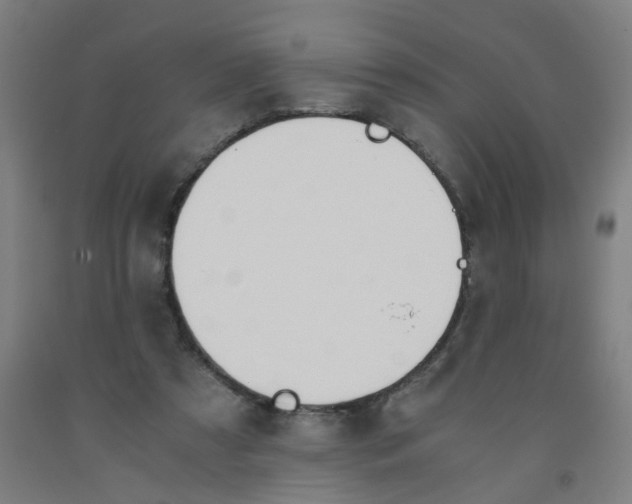 X0000091960305200709271352