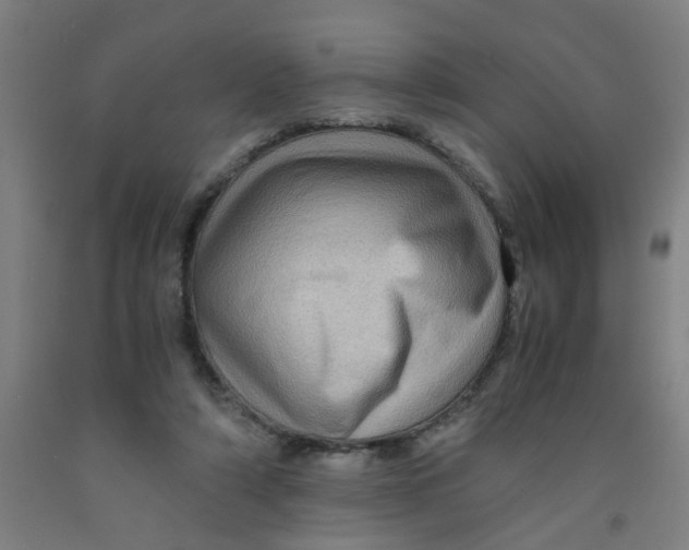 X0000091960306200709271352