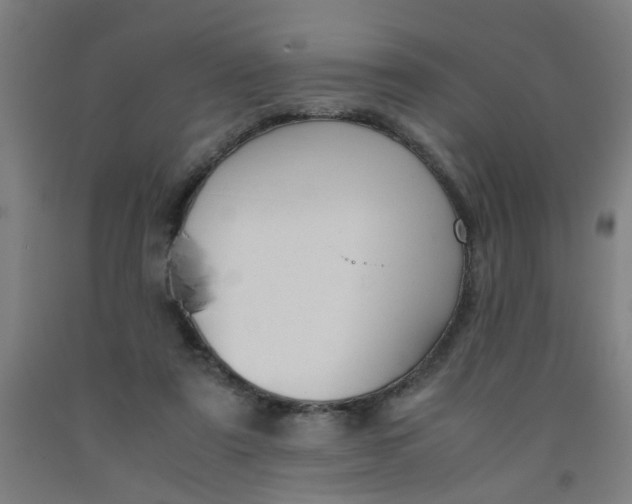 X0000091960307200709271352